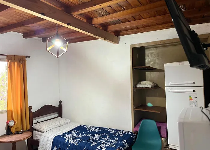 Los Cactus Planta Alta