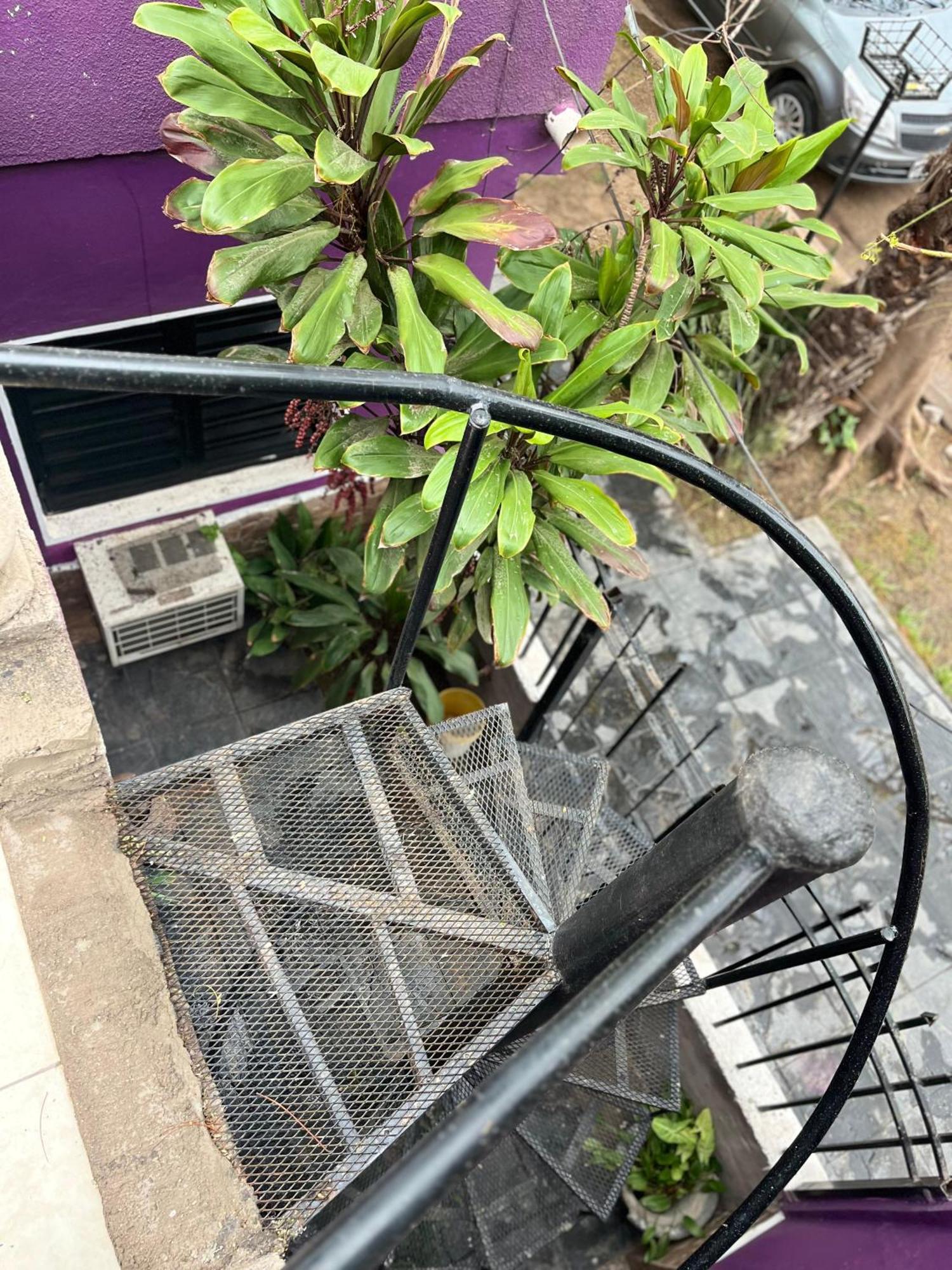 Cactus Planta Alta Apartment